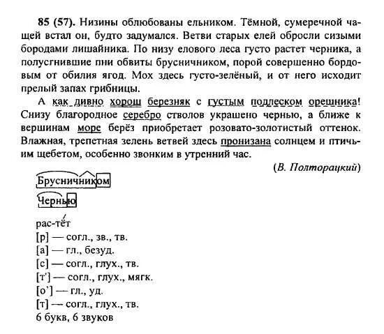 Низина разбор слова. Гдз по русскому языку 6 класс Баранов ладыженская Тростенцова. Низины облюбованы. Полторацкий низины облюбованы ельником. Гдз по русскому языку 6 класс Баранов.