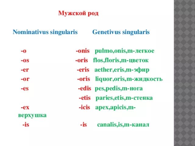 Тесты мужского рода. Nominativus Singularis. Nominativus Singularis в латинском. Форма genetivus Singularis. Nominativus Pluralis латынь.