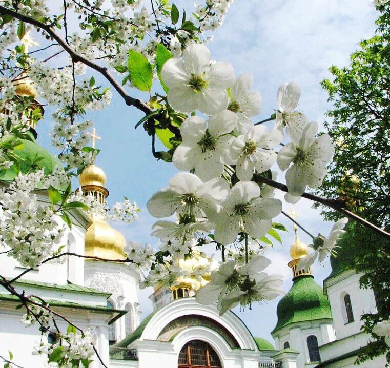 Доброе утро картинки православные весенние. Весенний храм православный. Красивый храм с цветами. Красивый храм весной.