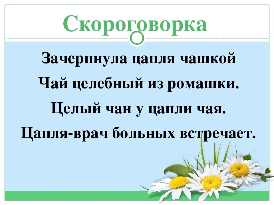 Скороговорка болото. Скороговорка про цаплю. Ромашка со скороговорками. Скороговорки на ч. Скороговорки про чай.