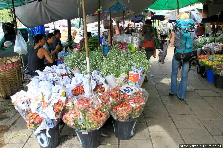 Новый цветочный рынок. Цветочный рынок Тайланд. Цветочный рынок Бангкок. Цветочный рынок пак Клонг Талат. Цветочный рынок Самуи.