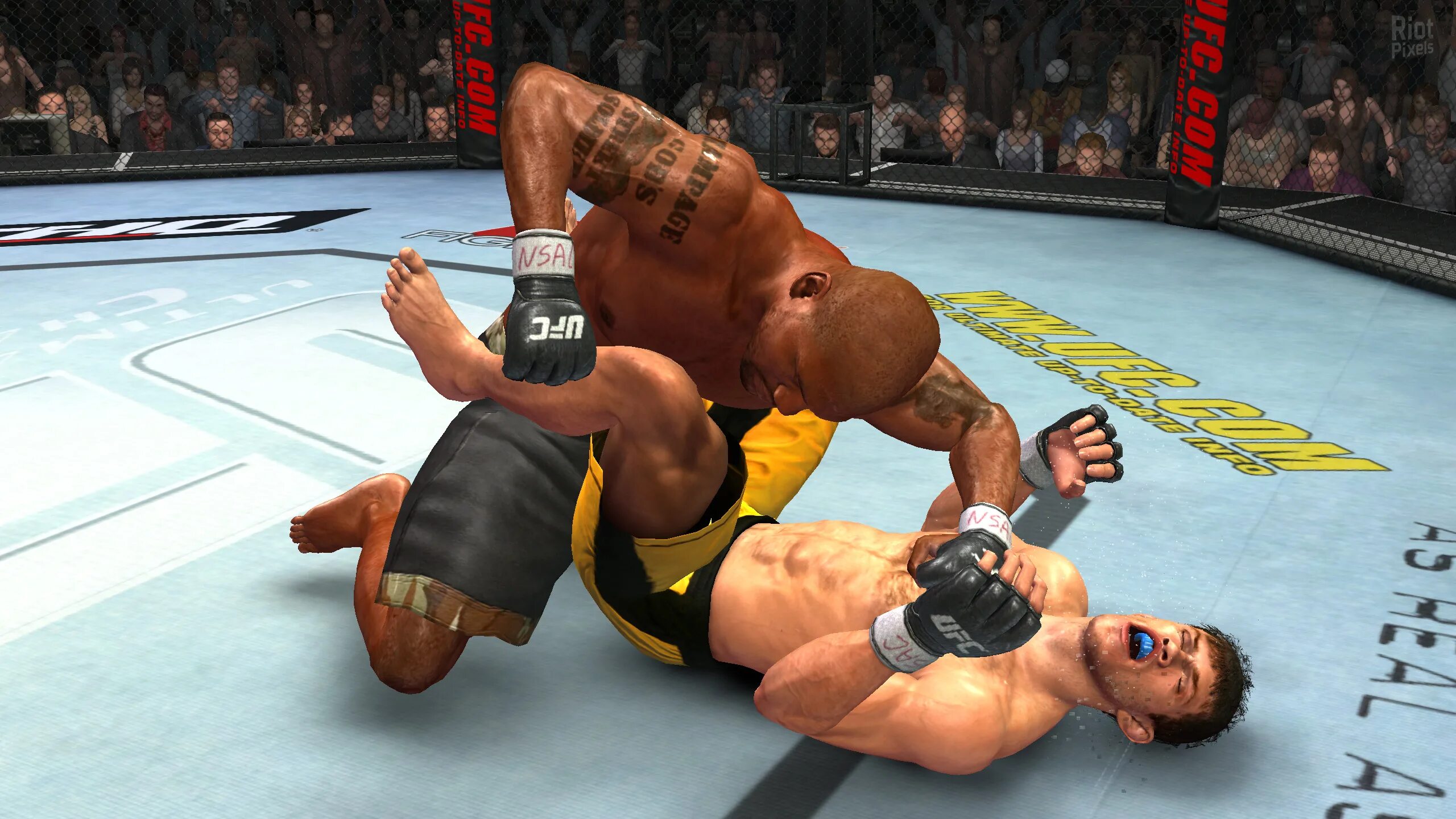 Холли холм ufc. Юфс. Ultimate fight. Ultimate fight. Ufc 2009 undisputed ps3.