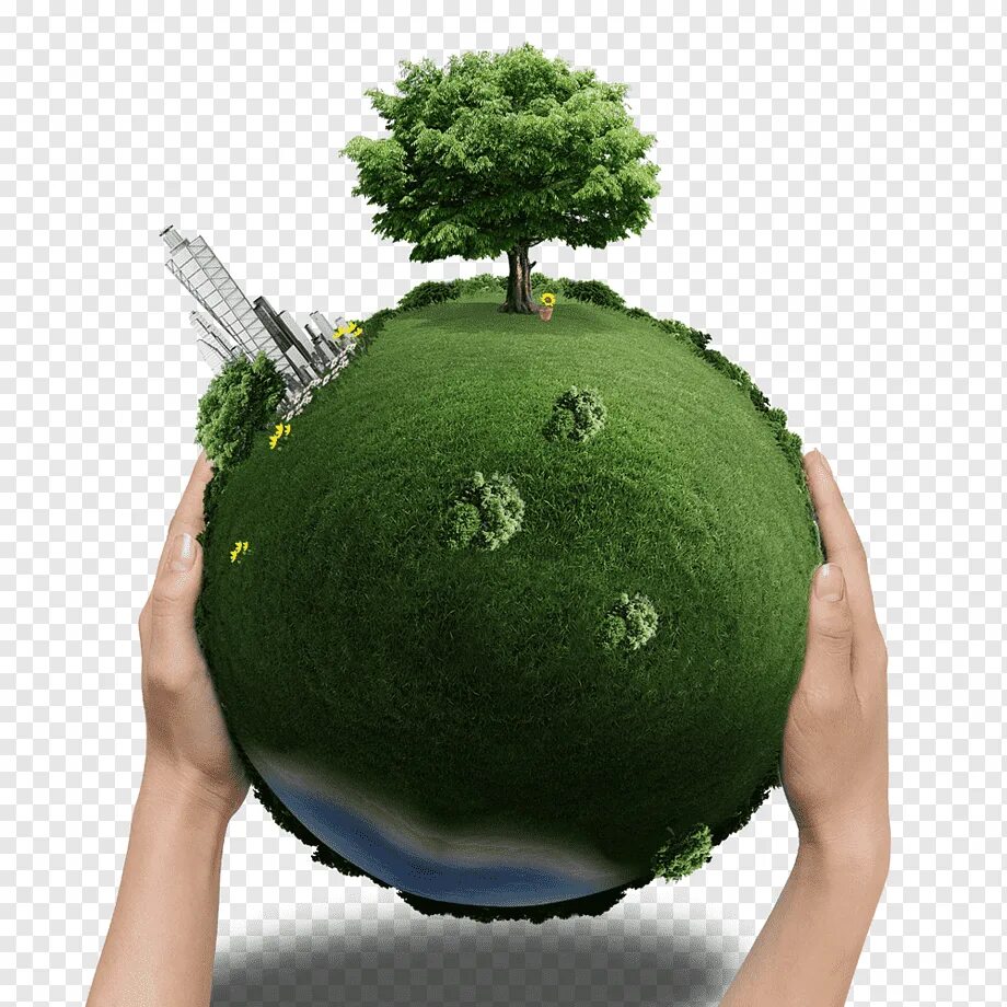 Зеленая земля что делать. Экология земли. Экологизация. Зеленая земля. Зеленая экология.