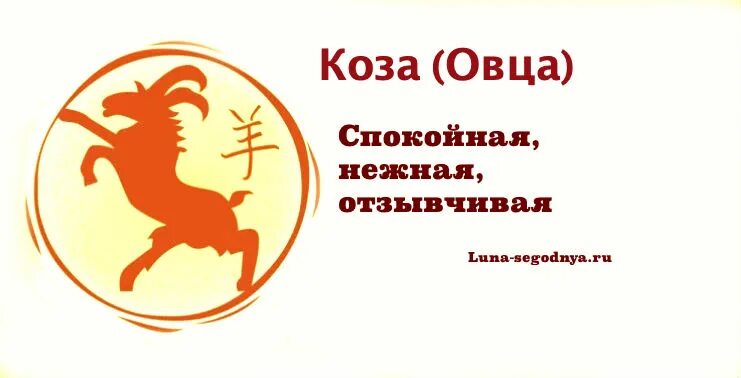 Восточный гороскоп овца. Год рождения коза бык. гороскопы овца лев. гороскоп на 2025 год для козы. телец кабан мужчина.