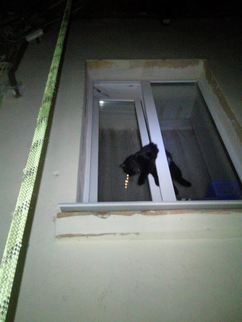 Кот застрял в окне. Коты застревают в окнах. Застряла в окне. Кот застрял в пластиковом окне.
