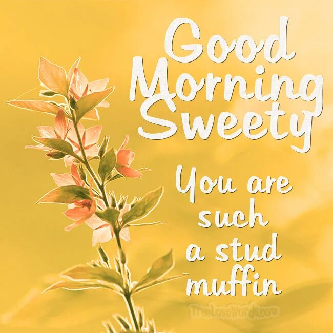 Message mornings