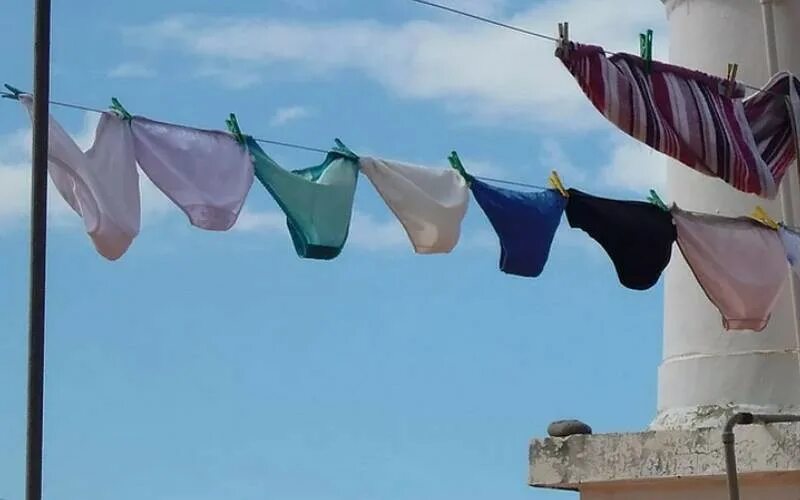 Steal panties. Steal panties. You can handle washing your sisters and my underwear. Steal panties. Wash underpants.