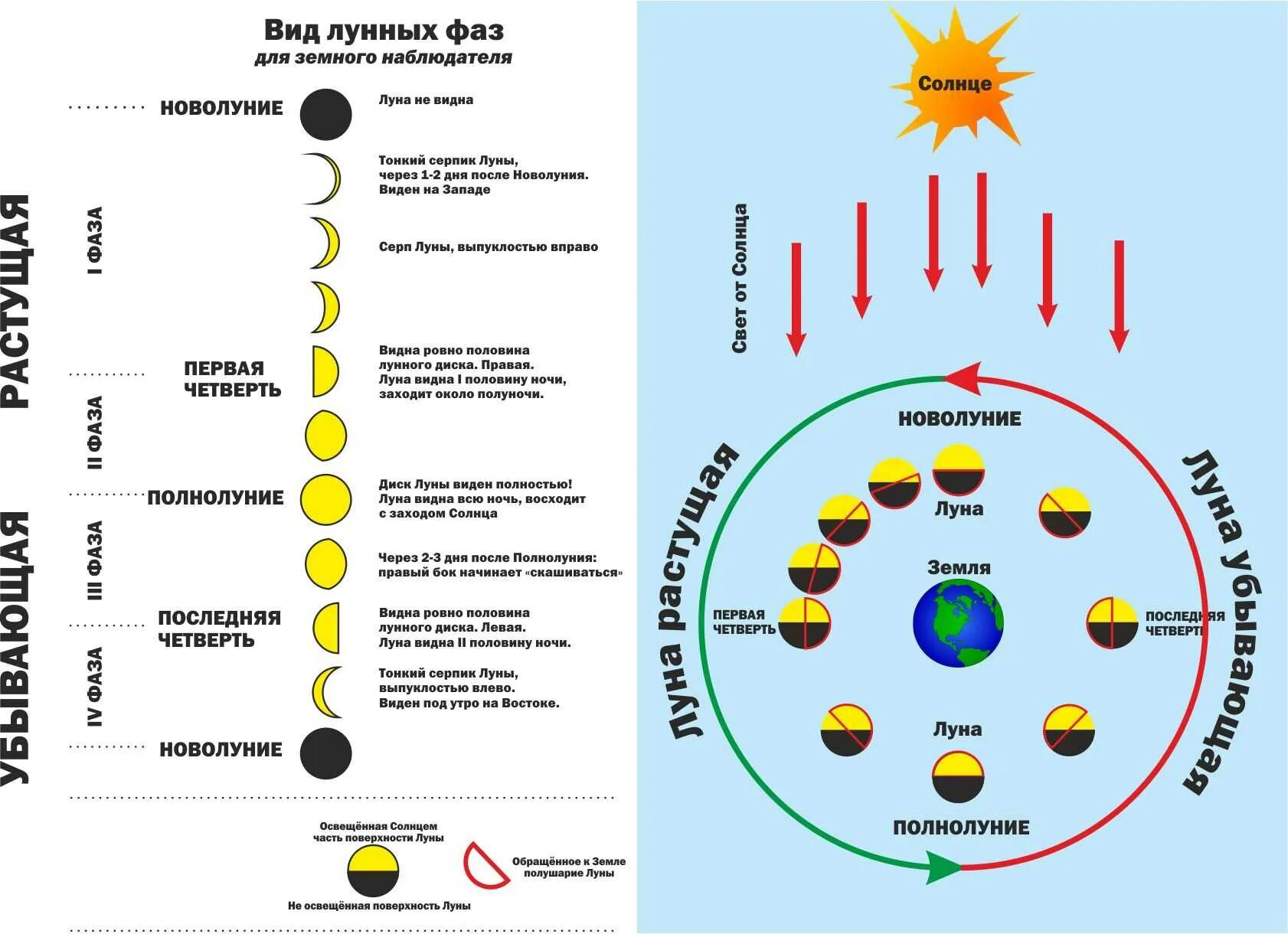Схема фаз лунного цикла. Полный цикл смены фаз Луны. Схема растущей и убывающей Луны. Виды Луны и названия фазы Луны таблица. Новолуние сделать