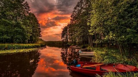 Город река лес