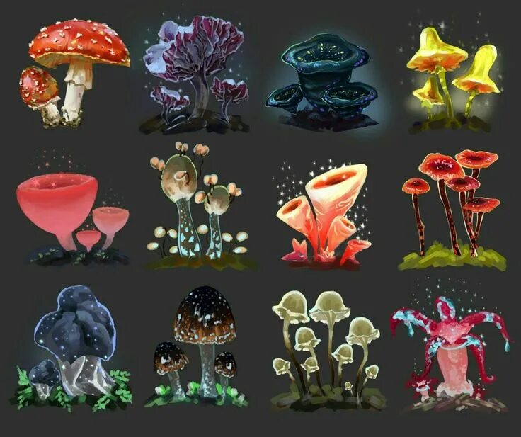 Legend of mushroom лучший класс