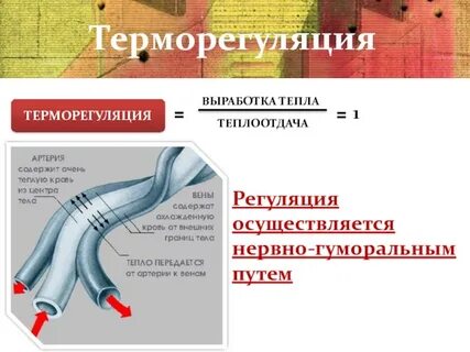 Выработка тепла