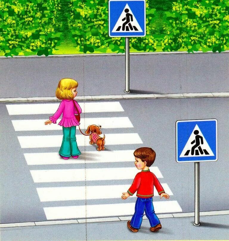 Вправо не ходить. Пешеходный переход. ПДД для детей. Переходить дорогу. Пешеходный переход иллюстрация для детей.