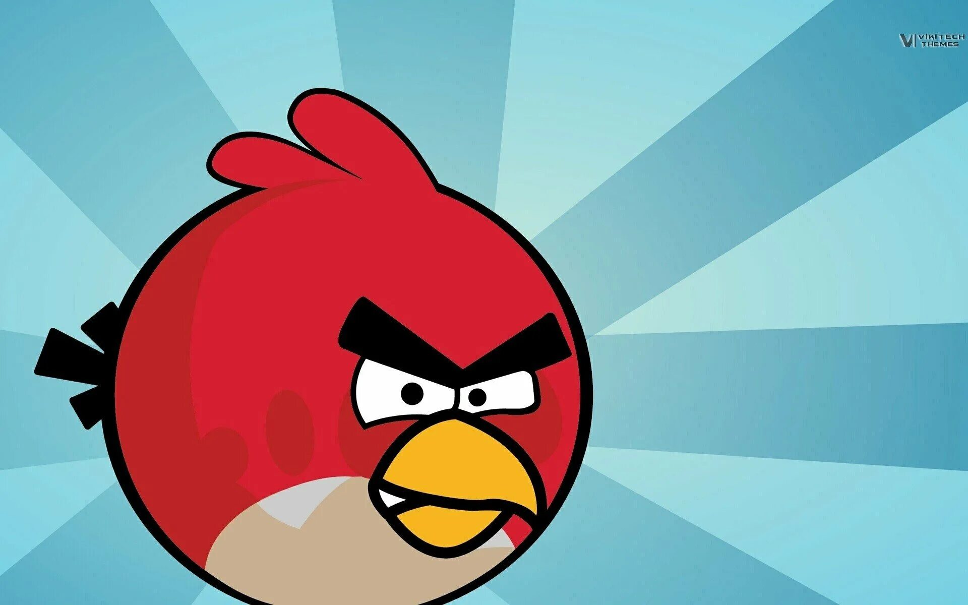 Angry birds versions. Энгри бердз злые птички. Ред Энгри бердз игра. Злая птица Энгри Бердс. Птичка Энгри бердз красная.