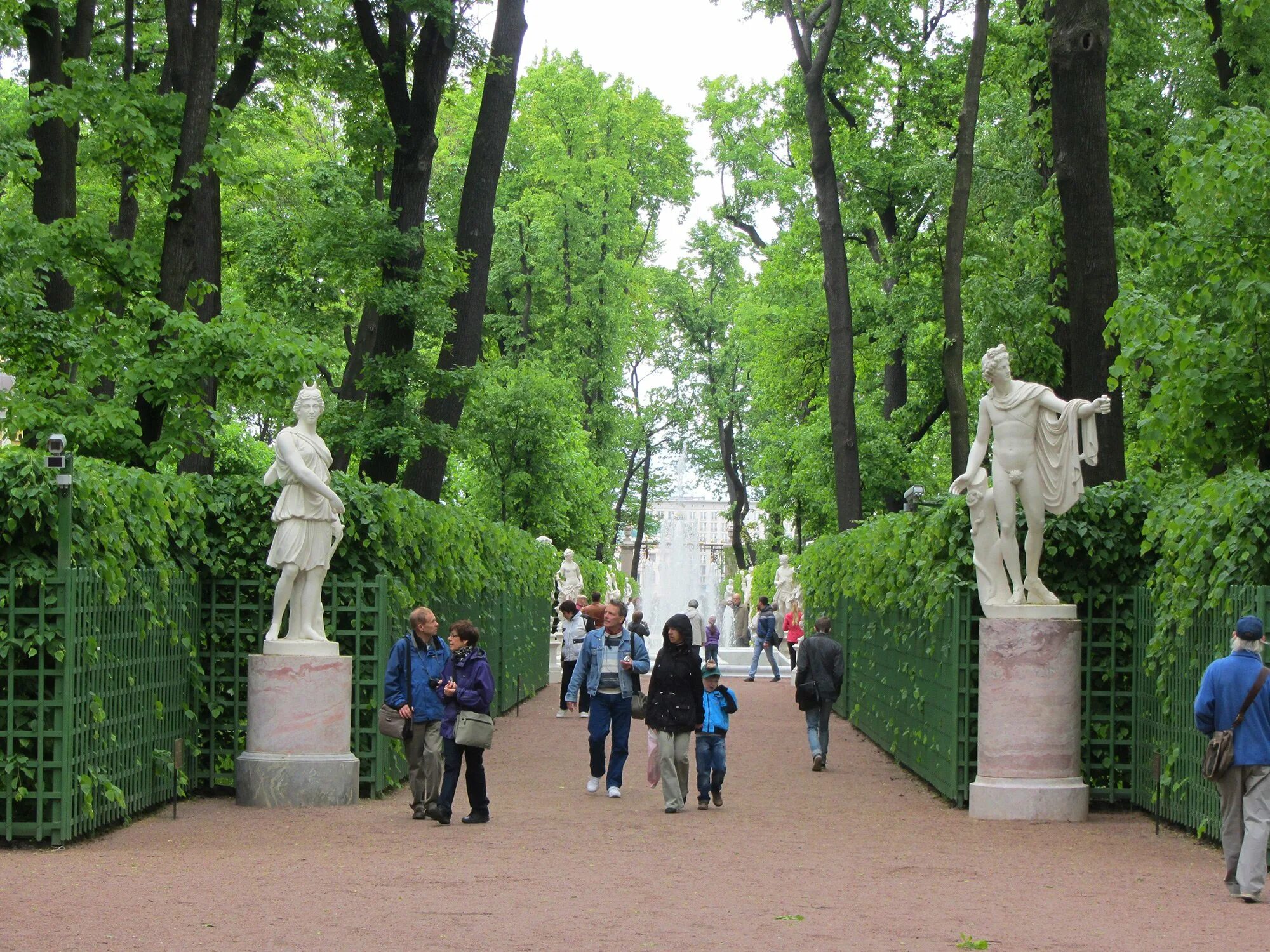 Летний сад в Санкт-Петербурге. Летний сад Петра 1 в Санкт-Петербурге. Сад Олимпия Санкт-Петербург. Летний сад в Санкт-Петербурге Пономаренко.