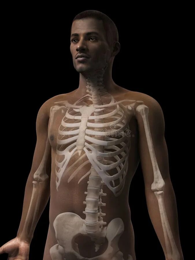 Превращение человека в скелета. Тело человека превращается в скелет.