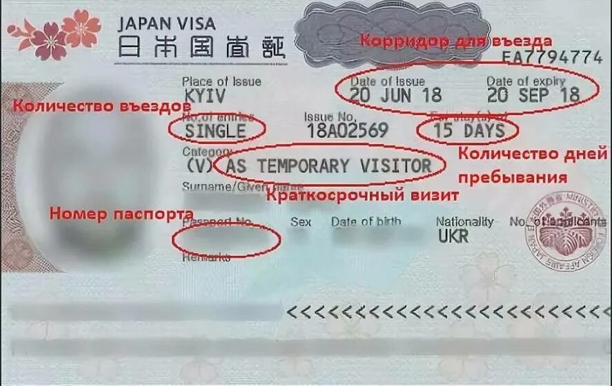 Visa times. Виза в Японию. Туристическая виза в Японию. Студенческая виза в Японию. Японская виза 2023.