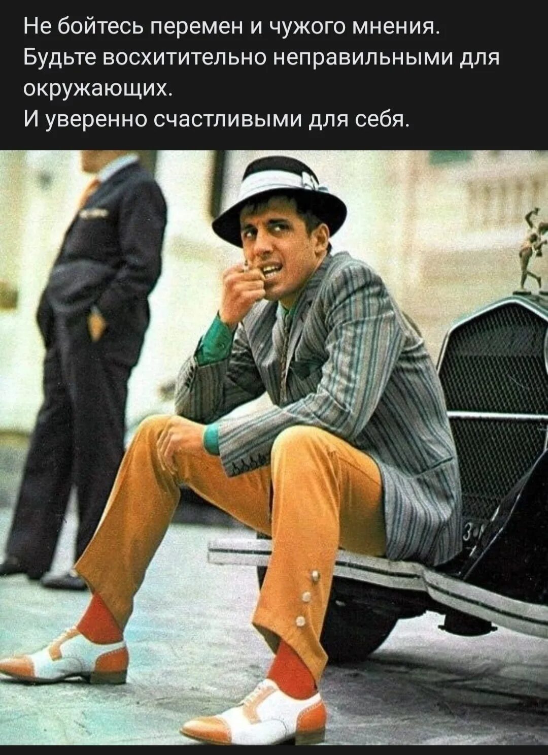 Пируйте же пока еще мы тут. Дарцаев Исмаил Умарпашаевич. Челентано картинки с надписями. Цитаты Челентано в картинках про женщин. Челентано смешные картинки.