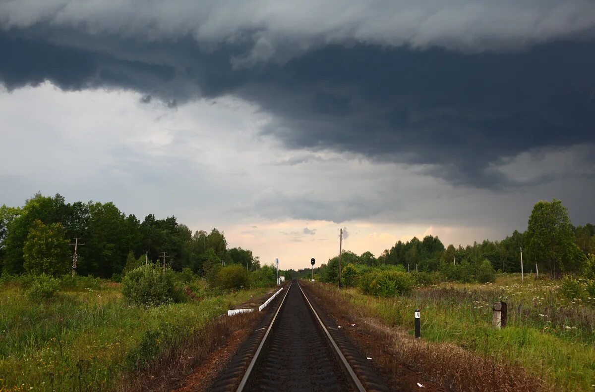 Погода в кневицах новгородская область