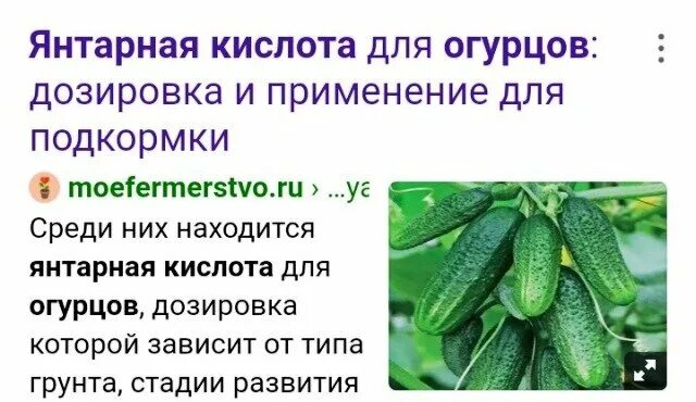 Янтарная кислота применения дозировка