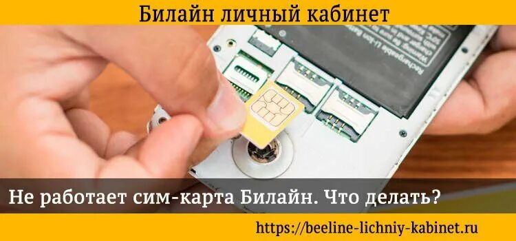 Почему не читает сим. Сим карта не работает. Почему Симка не работает. Сим карта Билайн. Почему не работает сим карта.