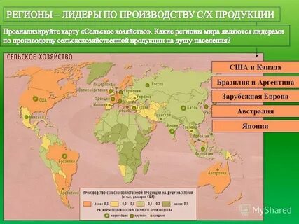 В развитых странах преобладает сельское хозяйство