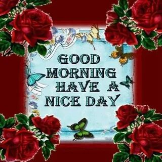 Nice mornings