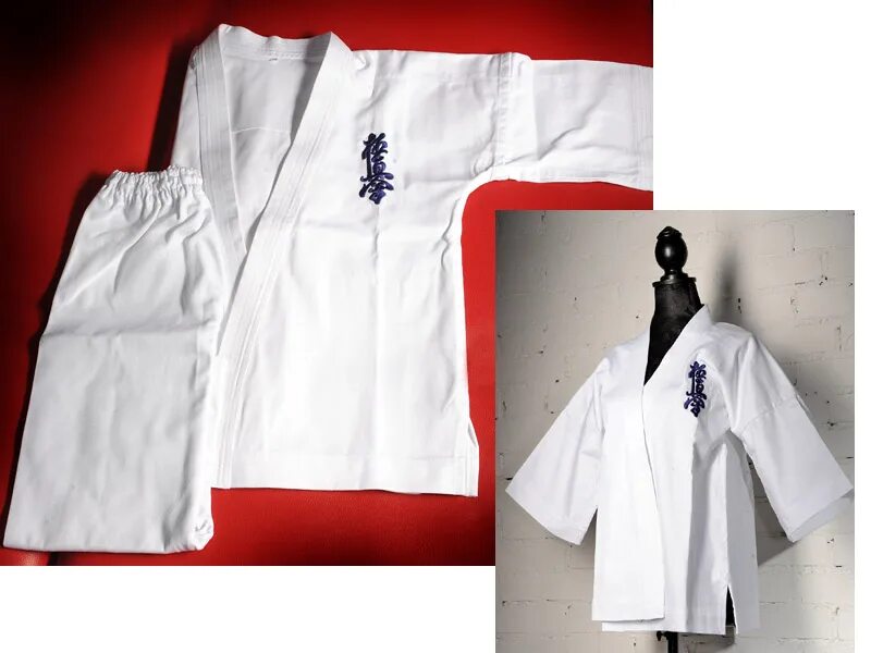 1 гып тхэквондо пояс. что нужно для карате. презентация на тему каратэ. экипировка каратэ wkf. доклад на тему карате.