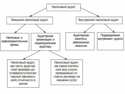 Налоговый аудит предприятия