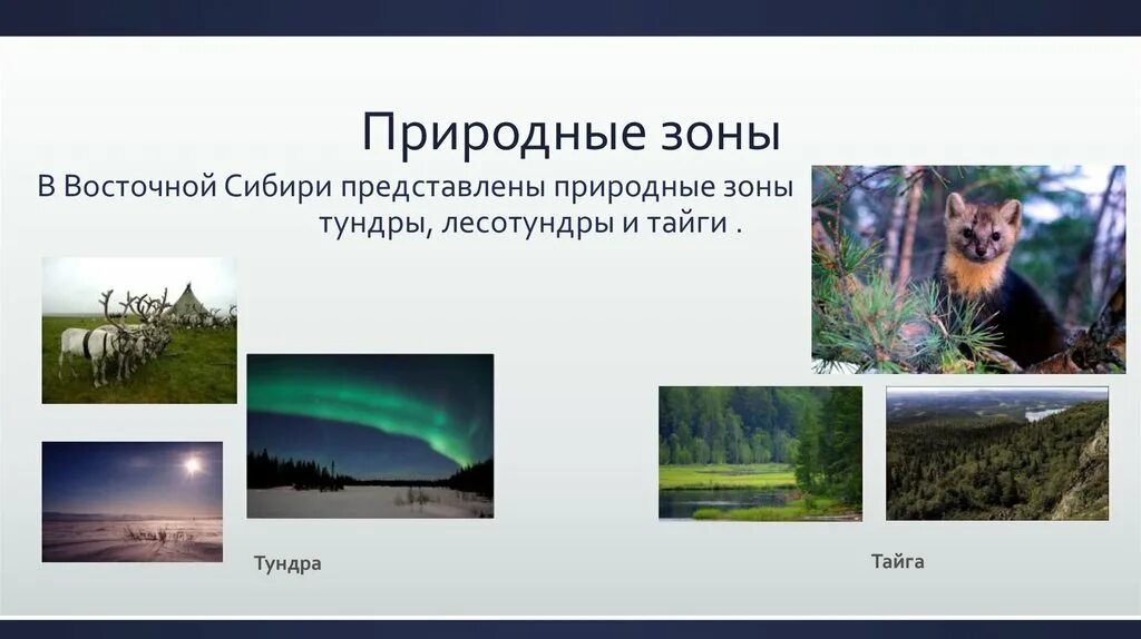 Какие представлены природные. Природные зоны северо восточной сибири. природные зоны северо востока сибири. восточно сибирская тайга природные зоны. природные зоны восточной сиб.