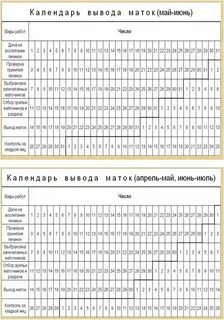 Выходит матка