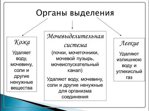 Урок выделение 8 класс