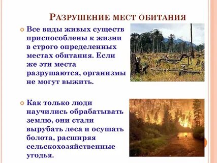 Разрушение смысл