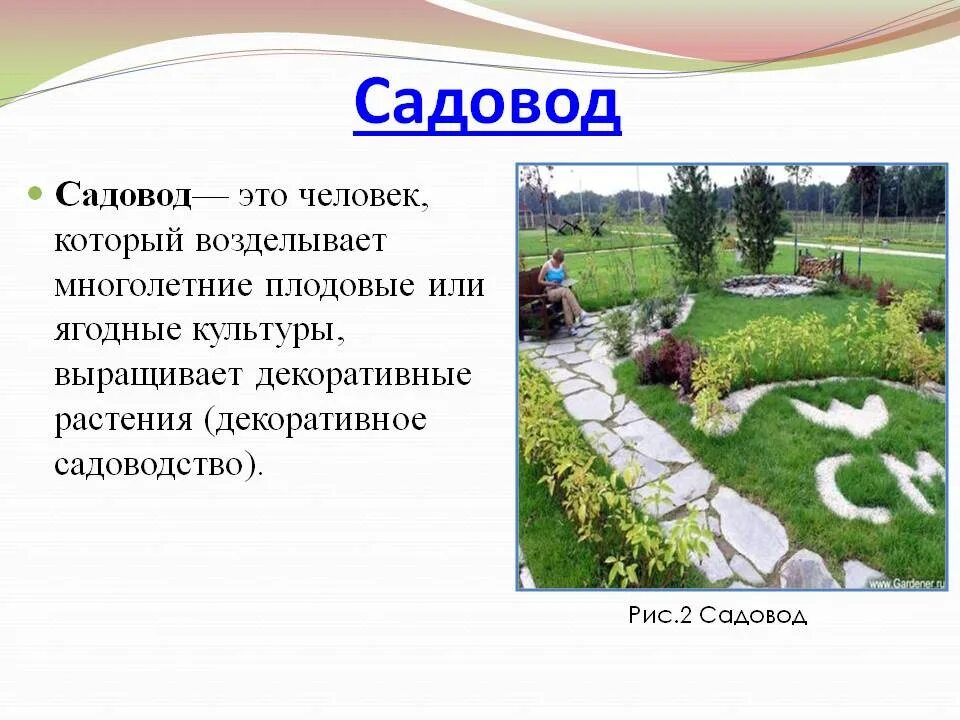 Чем полезна работа садовника обществу 4 класс. Проект Садоводство. Доклад на профессию садовника. Доклад о садоводстве. Сообщение на тему Садоводство.