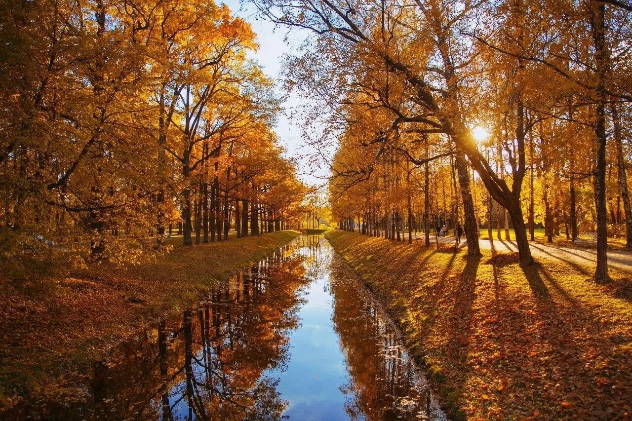 Какая теплая осень в этом году. Осень в России. Осень в городе. Осенние парки. Осенний город.