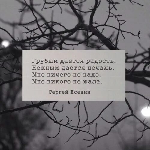 И ничто души не потревожит. Грустные четверостишья. Грустные стихи и цитаты. Грустные цитаты Есенина. Грустные строки стихов.