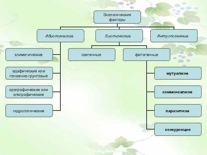 Что относится к абиотическим факторам среды. Абиотические факторы экологические группы растений. Гидрологические факторы примеры. Почвенные экологические факторы. Экологические факторы абиотические климатические.