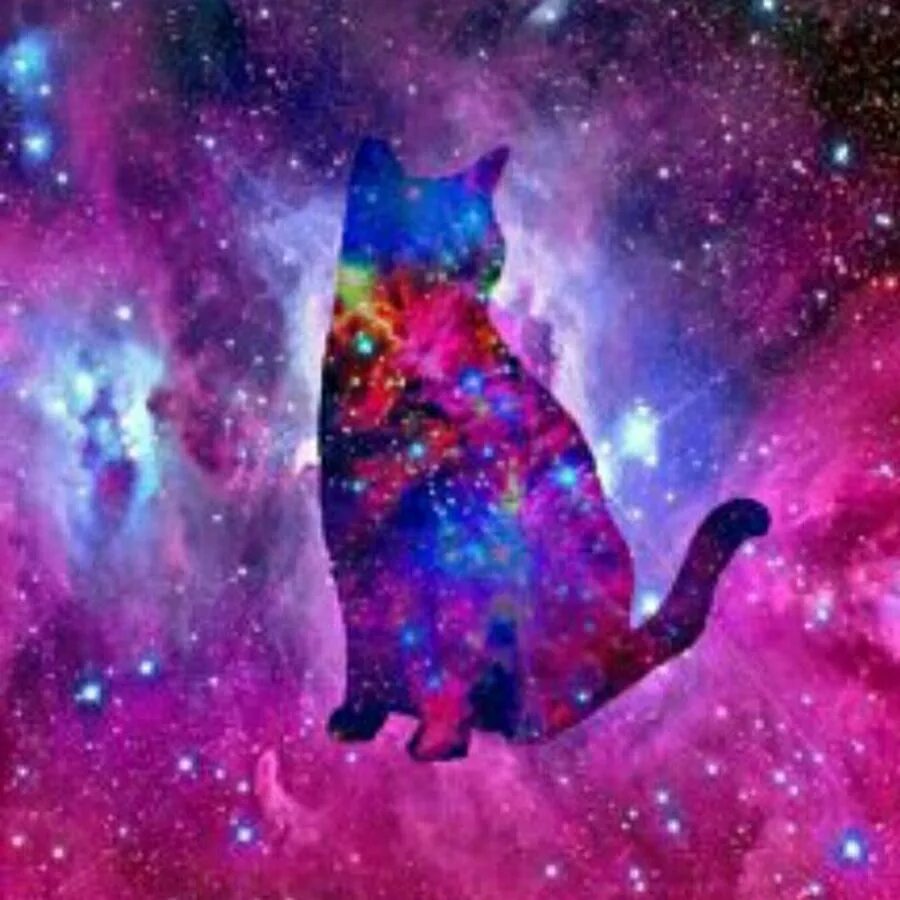 Космо кот. Космо кот. Космический котик. Космо кот. Кот арт.