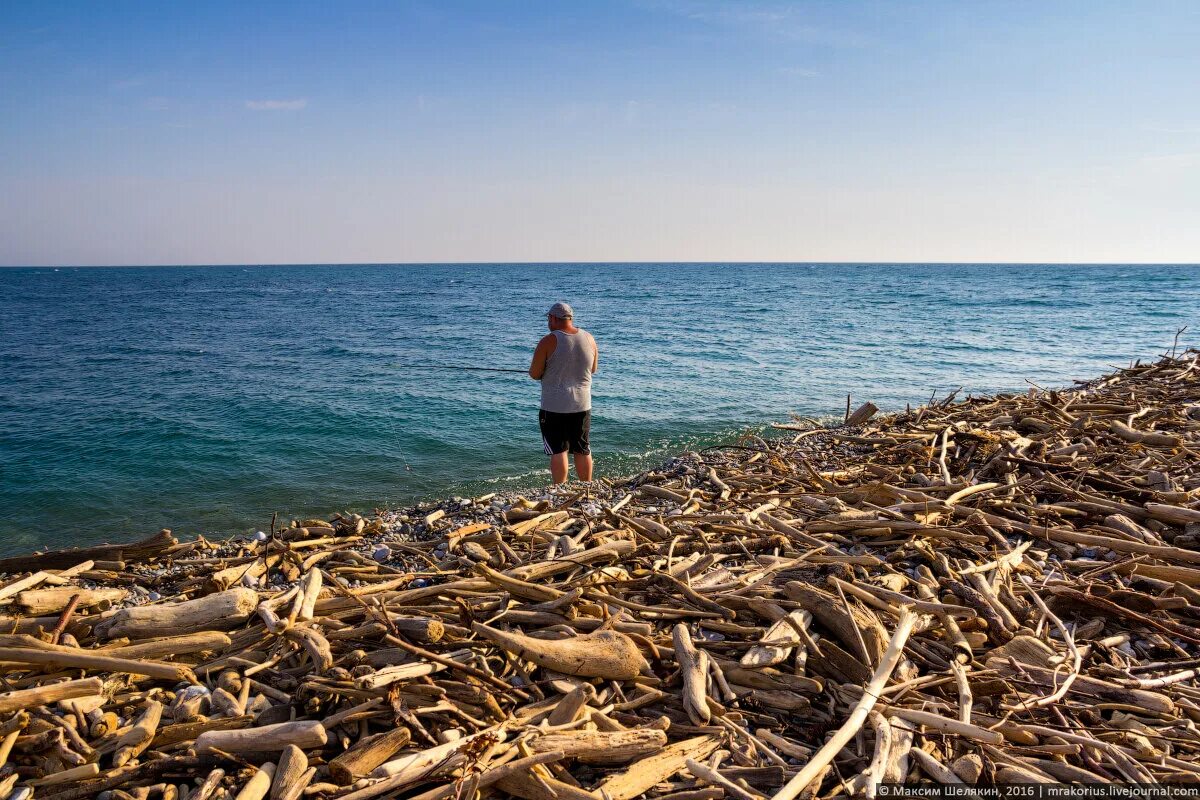 Погода в пицунде вода в море. Пляж Бичвинта Пицунда. Пицунда дикий пляж. Дикий пляж Пицунда Абхазия. Пицунда море.