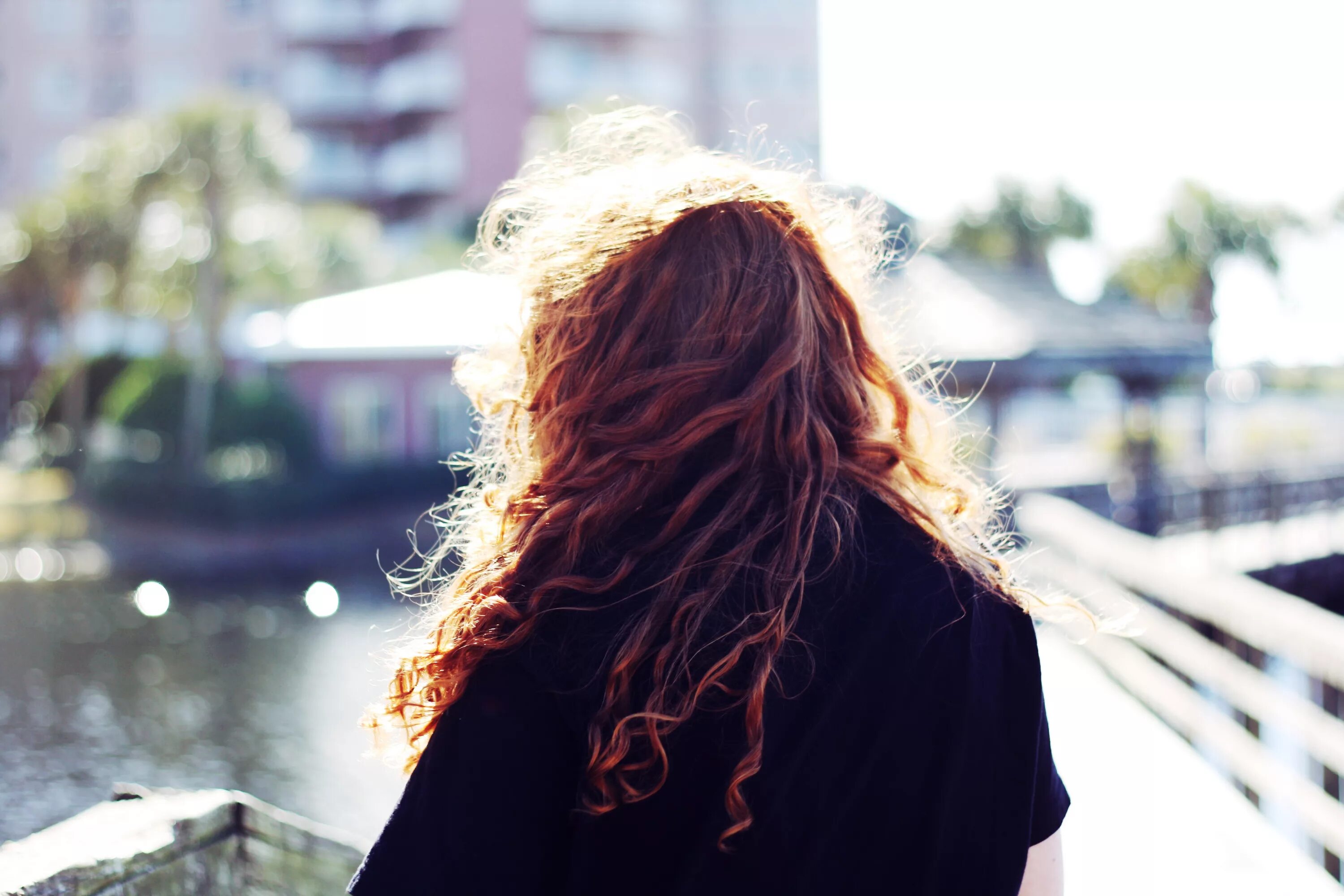 девушка с волнистыми каштановыми волосами спиной. фото кудрявых девушек спиной. девушка с кучерявыми волосами со спины. девушка с кудрявыми волосами со спины. рыжая кудрявая девушка со спины.