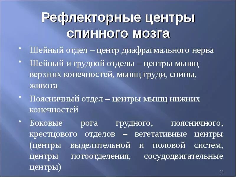 Рефлекторные центры спинного мозга. Рефлекторная деятельность спинного мозга. Центры каких рефлексов находятся в спинном мозге. Основные спинномозговые рефлексы.