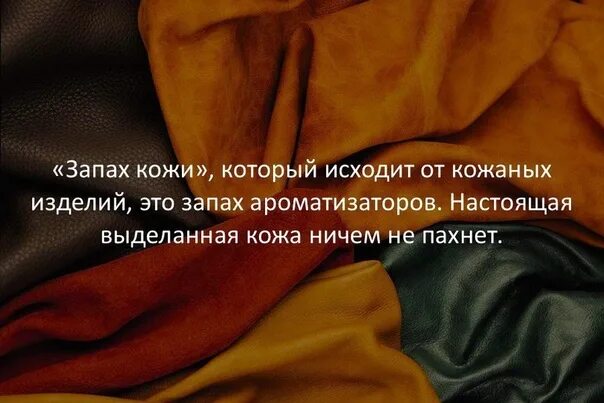 Запах запах кожи песня. Нанесение аромата. Нанесение духов. Стихотворение про запах мужчины. Моча пахнет.