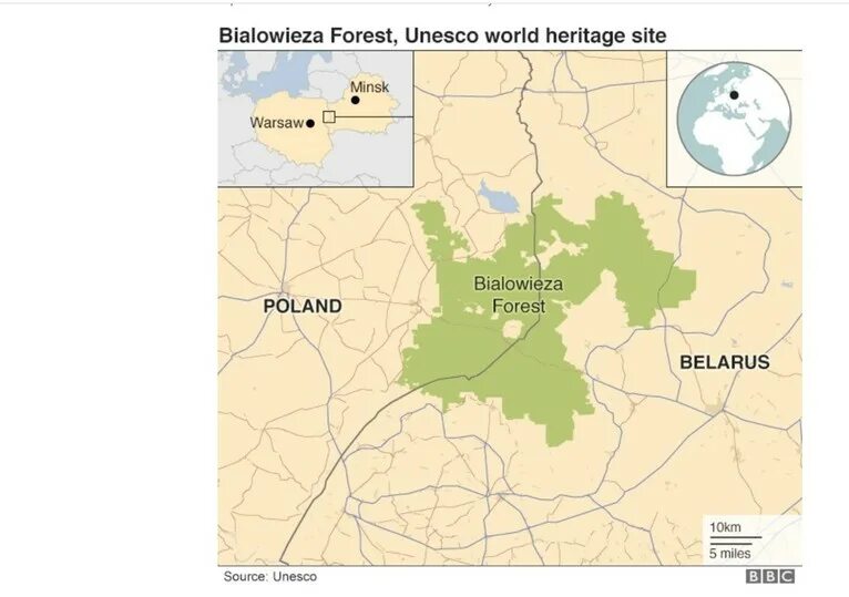 Беловежская пуща территория. Беловежская пуща карта заповедника. Беловежская пуща на карте Белоруссии и Польши. Карта Белоруссии Беловежская пуща на карте Беларуси. Беловежская пуща на карте Белоруссии.