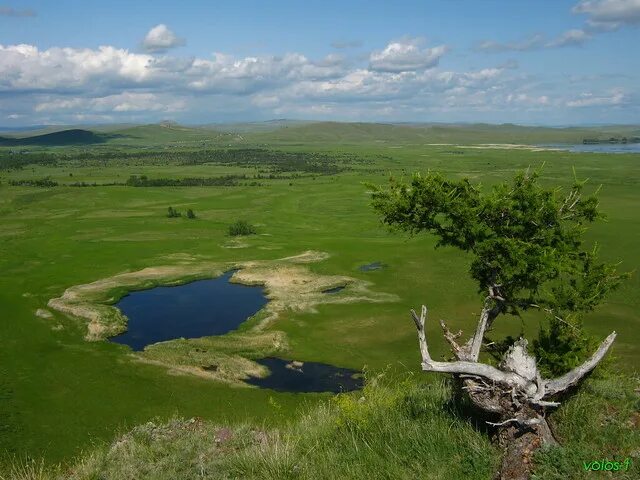 Ширинский район село черное озеро. Черное озеро Ширинский район. С черное озеро Ширинский район Республика Хакасия. Озеро фыркал Хакасия. Озеро черное Хакасия Ширинский район.