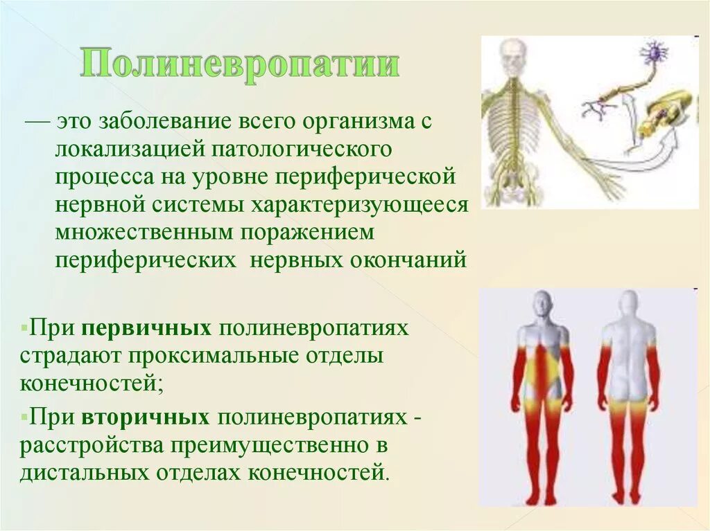 Синдром полиневропатии. Токсические полинейропатии. Заболевания периферической нервной системы. Периферические полинейропатии.