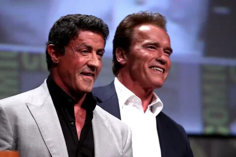 Сталлоне и шварценеггер