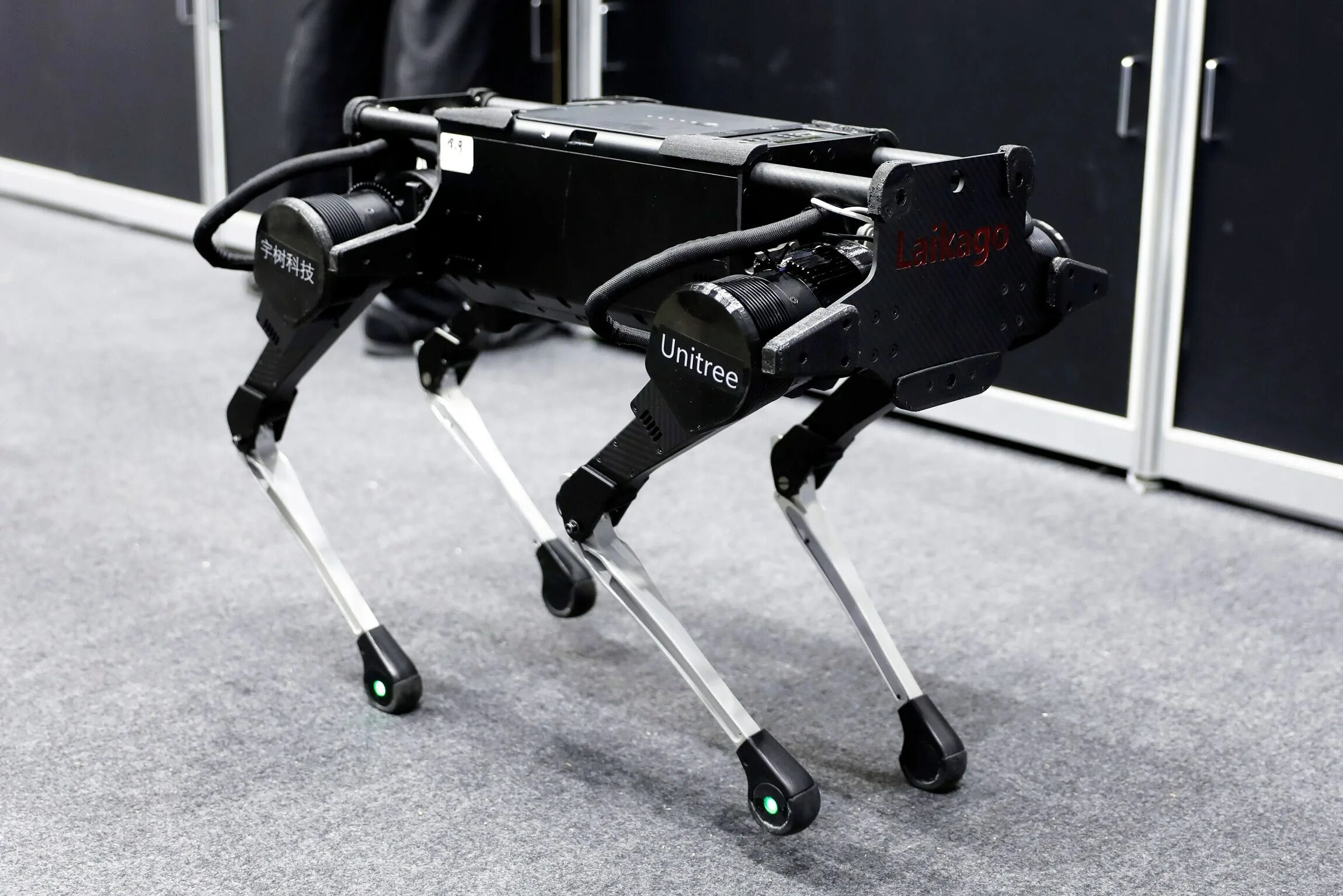Робот собака Unitree. SPOTMINI робот. Робот собака Бостон Динамикс. ALPHADOG робот. Роботы собаки на открытии игр