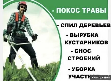 Не беречь поросли