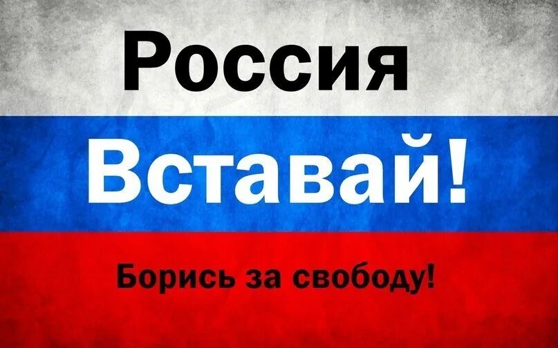 Встань и борись. Вставай россия. Военные демотиваторы со смыслом. Встань и сражайся. Стихи никогда вам меня не сломать.