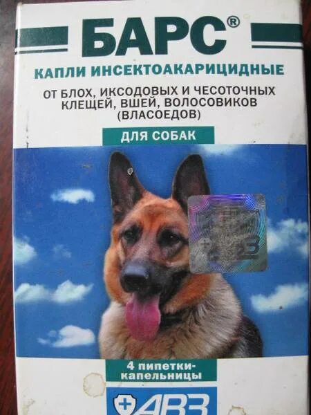 Защити собаку от клещей. Уберечь собаку от клещей. Обработка от блох и клещей собак.