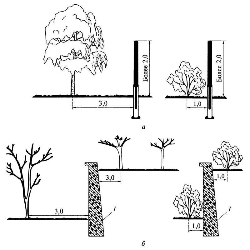 Территория посаженными человеком плодовыми деревьями кустарниками это. Посадка крупномерных деревьев схема. Схема посадки колоновидных яблонь расстояния меж деревьев. Схема посадки низкорослых яблонь. Посадка колоновидных деревьев схема посадки.
